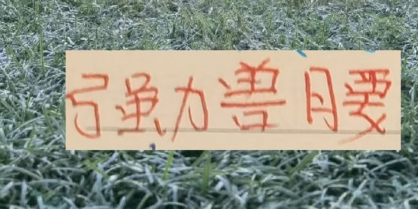 半岛体育-中超前4的后腰 反而申花是国产的兽腰 其他球队都是洋货